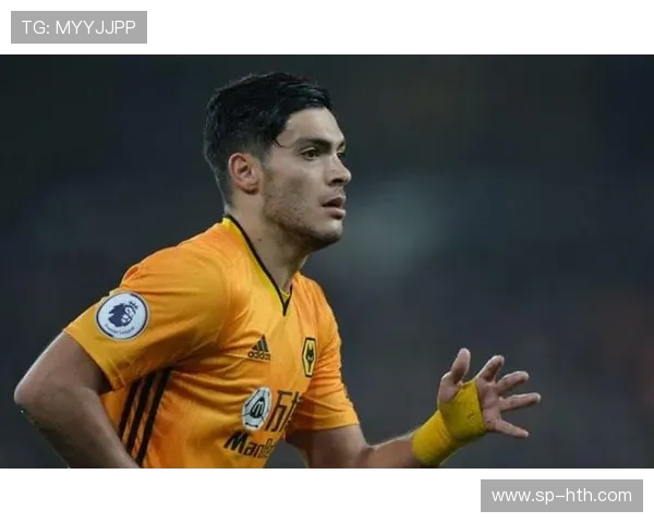 裁判终止判罚引争议，罗瓦尔恢复意识后接受结果